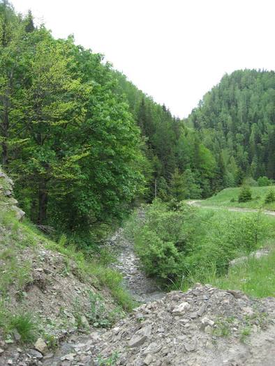 IMG_4436 - 01 - In Vrancea primavara partea a II-a