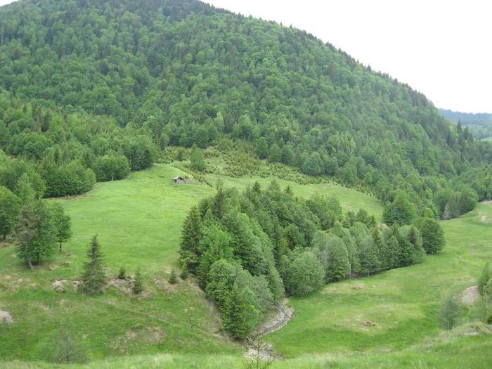 IMG_4442 - 01 - In Vrancea primavara partea a II-a