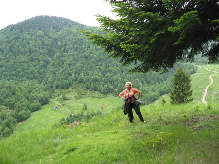 IMG_4446 - 01 - In Vrancea primavara partea a II-a