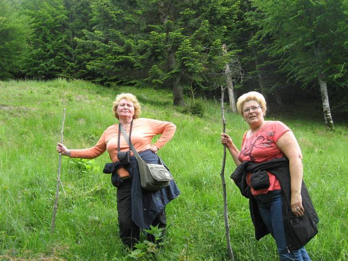 IMG_4451 - 01 - In Vrancea primavara partea a II-a