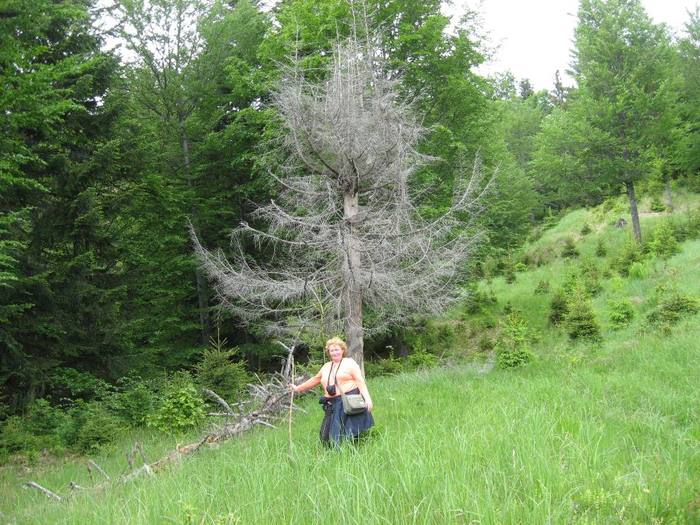 IMG_4455 - 01 - In Vrancea primavara partea a II-a