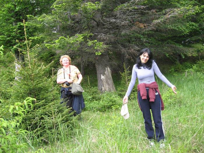 IMG_4462 - 01 - In Vrancea primavara partea a II-a