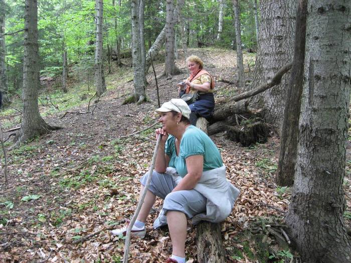 IMG_4464 - 01 - In Vrancea primavara partea a II-a