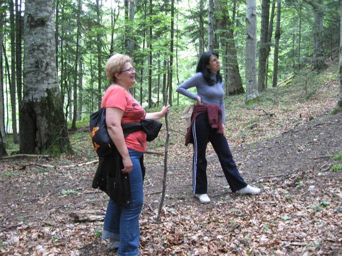 IMG_4468 - 01 - In Vrancea primavara partea a II-a