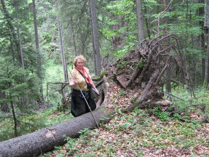 IMG_4471 - 01 - In Vrancea primavara partea a II-a