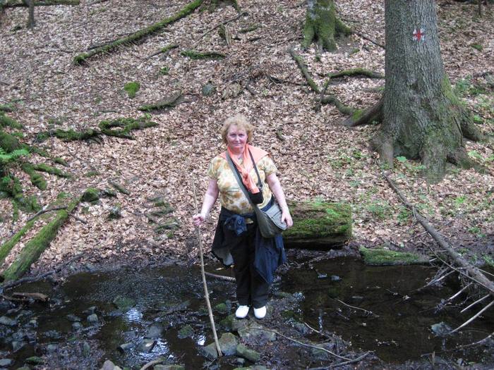 IMG_4474 - 01 - In Vrancea primavara partea a II-a