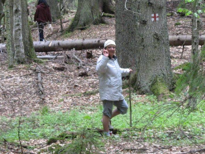 IMG_4479 - 01 - In Vrancea primavara partea a II-a