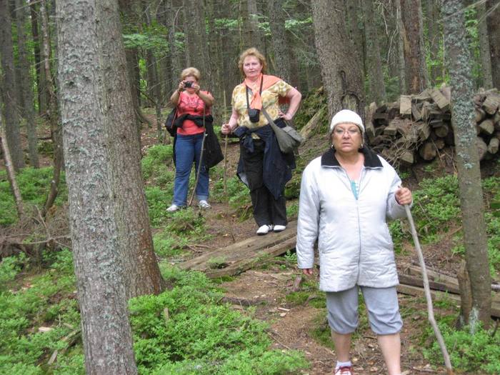 IMG_4480 - 01 - In Vrancea primavara partea a II-a