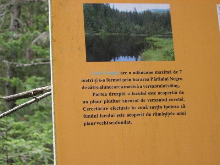 IMG_4482 - 01 - In Vrancea primavara partea a II-a