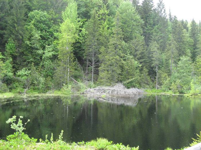 IMG_4499 - 01 - In Vrancea primavara partea a II-a