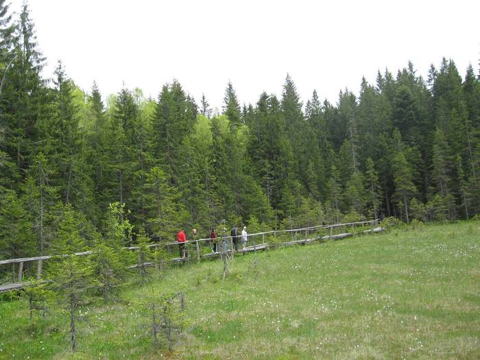 IMG_4500 - 01 - In Vrancea primavara partea a II-a