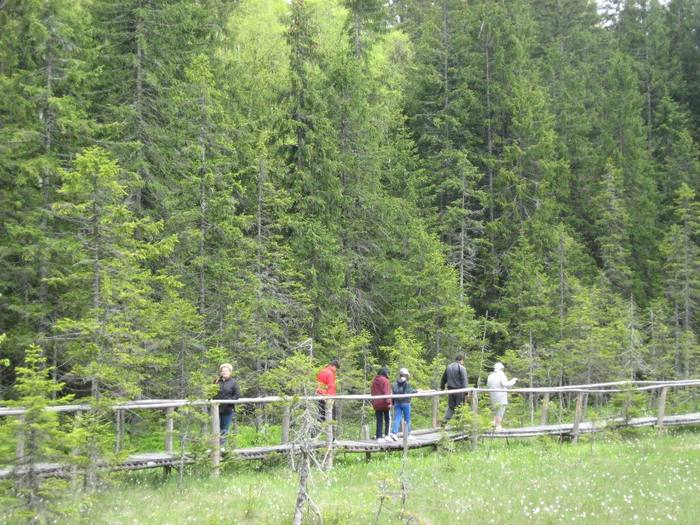 IMG_4501 - 01 - In Vrancea primavara partea a II-a