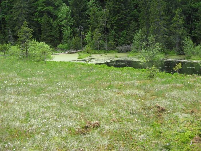 IMG_4504 - 01 - In Vrancea primavara partea a II-a