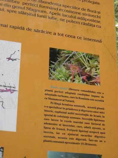 IMG_4510 - 01 - In Vrancea primavara partea a II-a