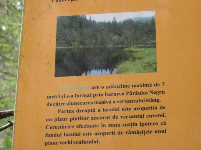 IMG_4512 - 01 - In Vrancea primavara partea a II-a