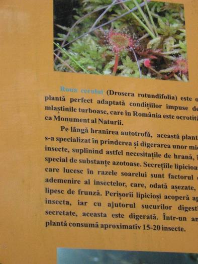 IMG_4514 - 01 - In Vrancea primavara partea a II-a