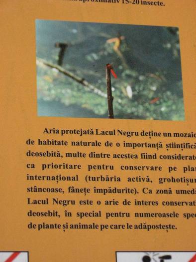 IMG_4515 - 01 - In Vrancea primavara partea a II-a