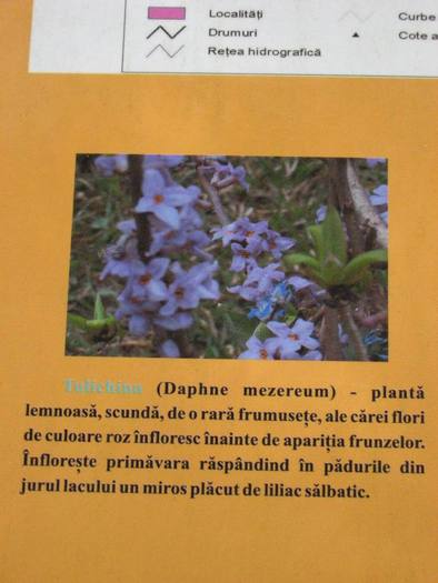 IMG_4516 - 01 - In Vrancea primavara partea a II-a