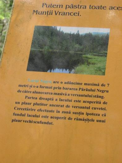 IMG_4518 - 01 - In Vrancea primavara partea a II-a