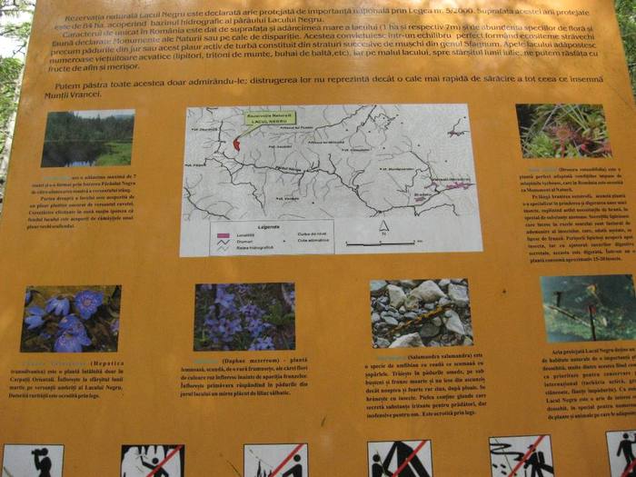 IMG_4519 - 01 - In Vrancea primavara partea a II-a