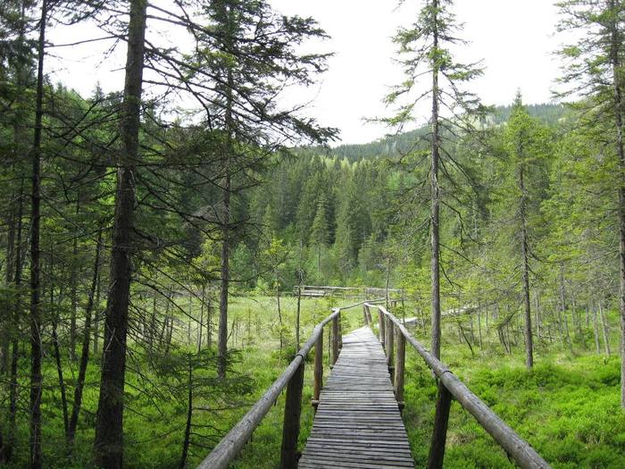 IMG_4520 - 01 - In Vrancea primavara partea a II-a