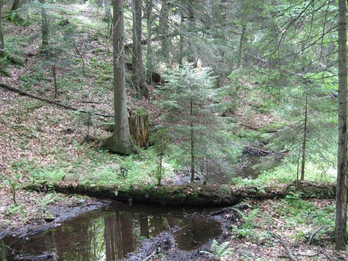 IMG_4523 - 01 - In Vrancea primavara partea a II-a