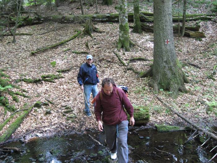 IMG_4524 - 01 - In Vrancea primavara partea a II-a