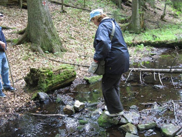 IMG_4525 - 01 - In Vrancea primavara partea a II-a