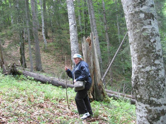 IMG_4528 - 01 - In Vrancea primavara partea a II-a