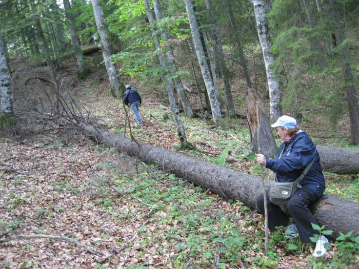 IMG_4531 - 01 - In Vrancea primavara partea a II-a