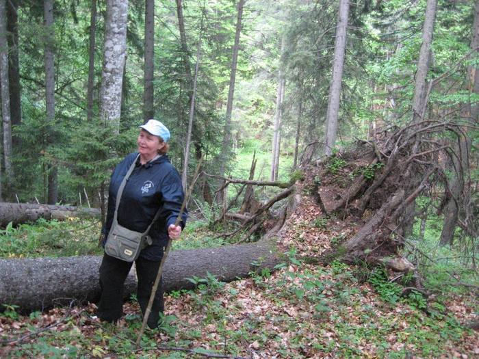 IMG_4532 - 01 - In Vrancea primavara partea a II-a