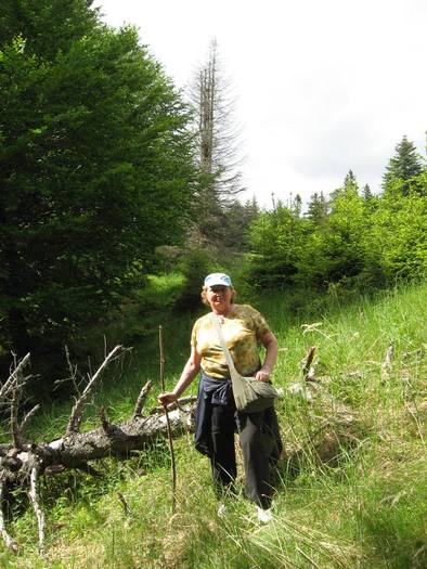 IMG_4544 - 01 - In Vrancea primavara partea a II-a