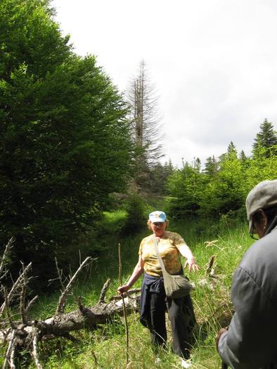 IMG_4545 - 01 - In Vrancea primavara partea a II-a