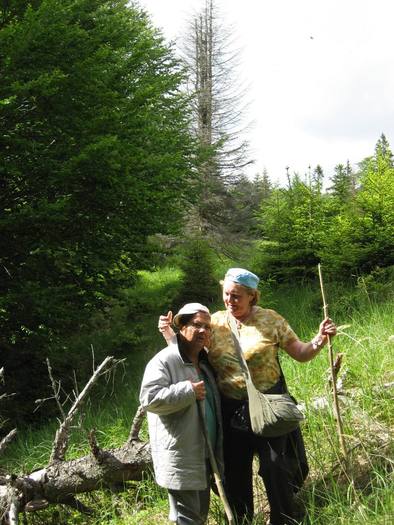 IMG_4546 - 01 - In Vrancea primavara partea a II-a