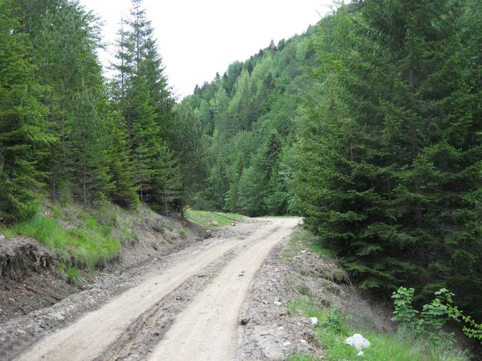 IMG_4560 - 01 - In Vrancea primavara partea a II-a