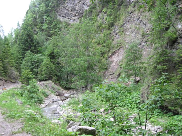 IMG_4564 - 01 - In Vrancea primavara partea a II-a