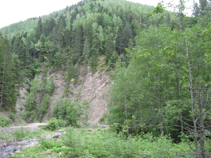 IMG_4568 - 01 - In Vrancea primavara partea a II-a