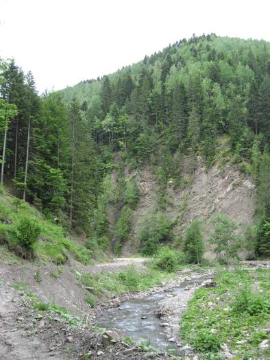 IMG_4569 - 01 - In Vrancea primavara partea a II-a