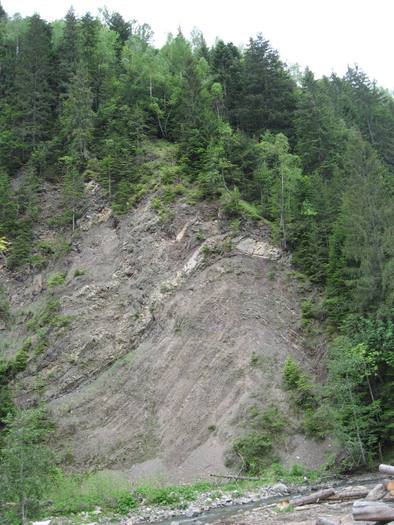 IMG_4570 - 01 - In Vrancea primavara partea a II-a