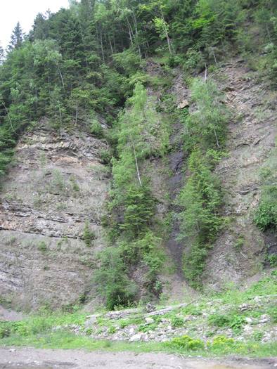 IMG_4571 - 01 - In Vrancea primavara partea a II-a