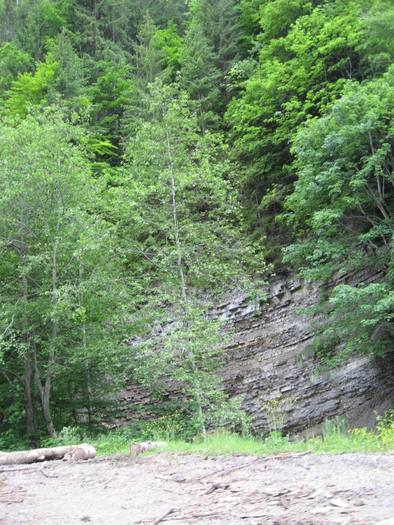 IMG_4577 - 01 - In Vrancea primavara partea a II-a