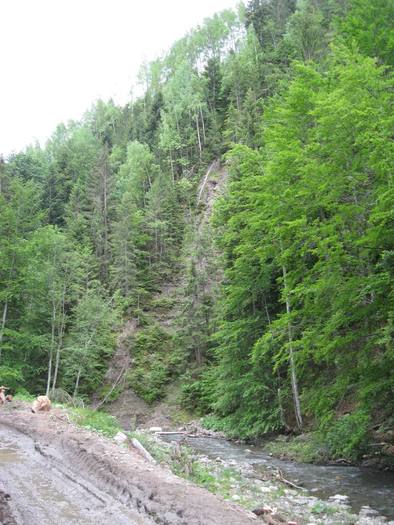 IMG_4583 - 01 - In Vrancea primavara partea a II-a