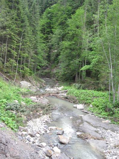 IMG_4587 - 01 - In Vrancea primavara partea a II-a