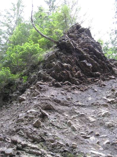 IMG_4588 - 01 - In Vrancea primavara partea a II-a