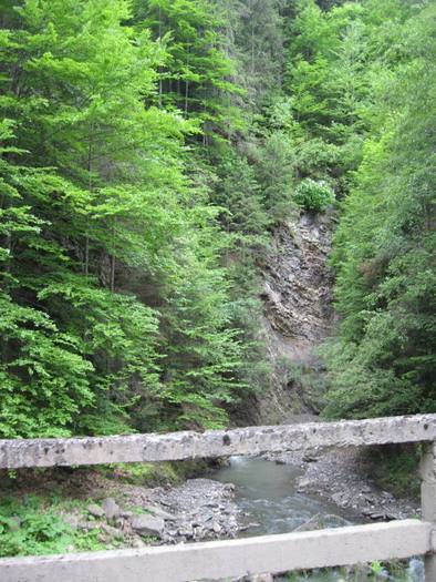 IMG_4590 - 01 - In Vrancea primavara partea a II-a