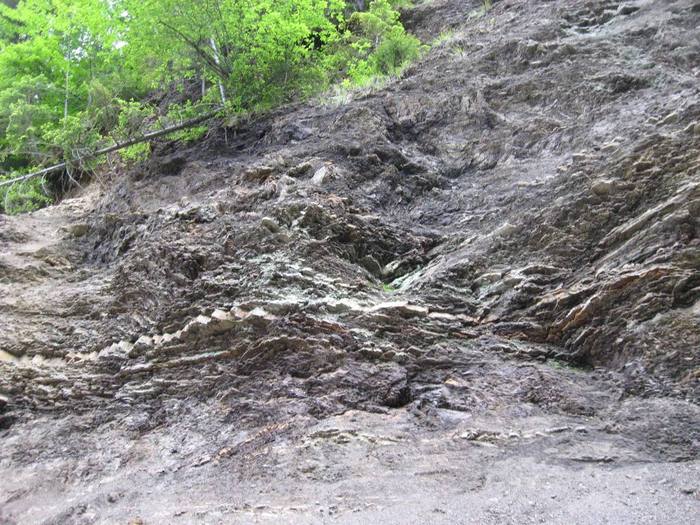 IMG_4593 - 01 - In Vrancea primavara partea a II-a