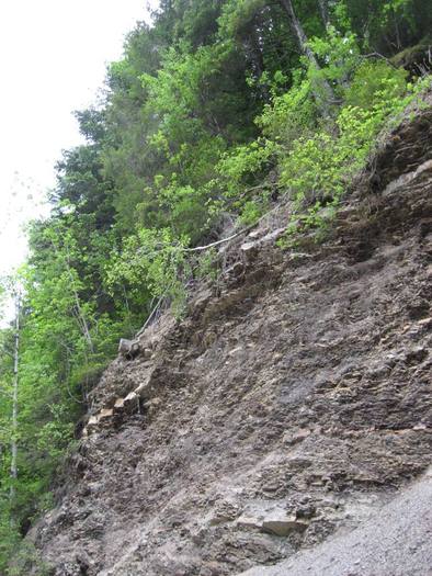 IMG_4594 - 01 - In Vrancea primavara partea a II-a