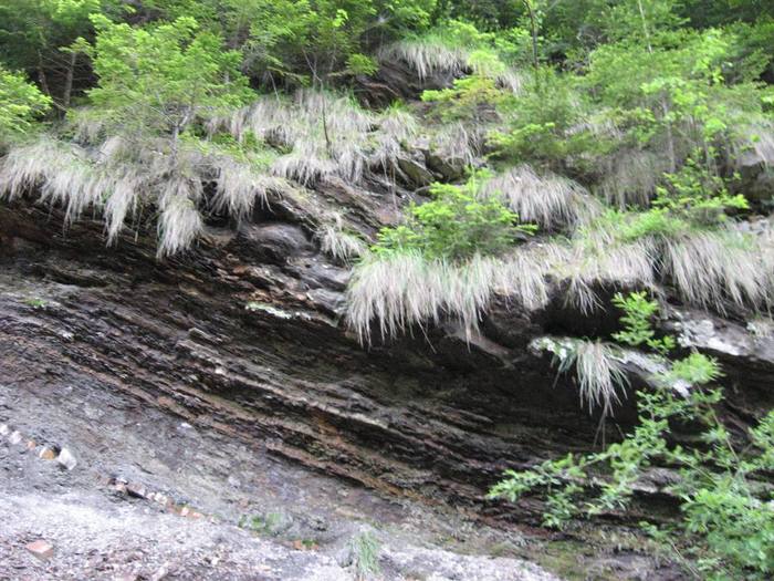 IMG_4597 - 01 - In Vrancea primavara partea a II-a