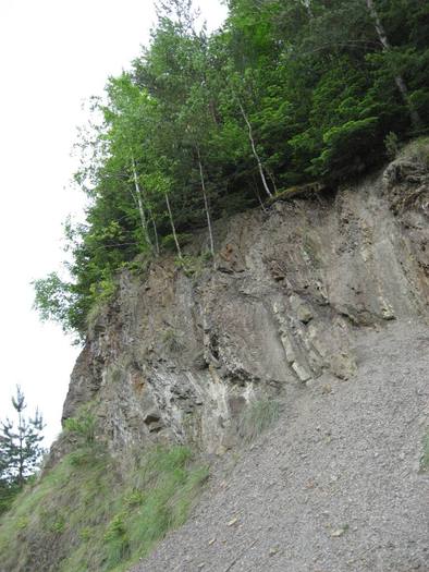 IMG_4598 - 01 - In Vrancea primavara partea a II-a