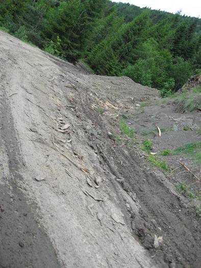 IMG_4599 - 01 - In Vrancea primavara partea a II-a